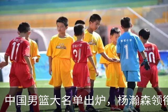 中国男篮大名单出炉，杨瀚森领衔 留洋球员集体登场 曾凡博继续缺席